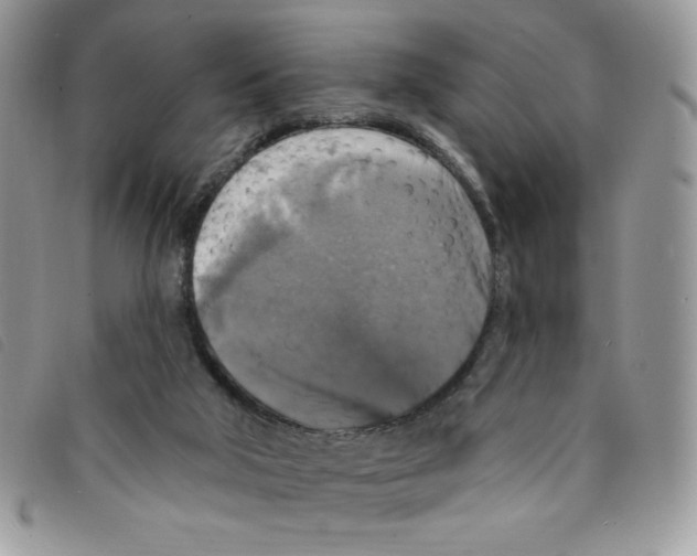 X0000095550018200801111503