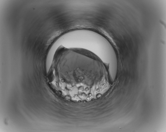 X0000095550019200801111503