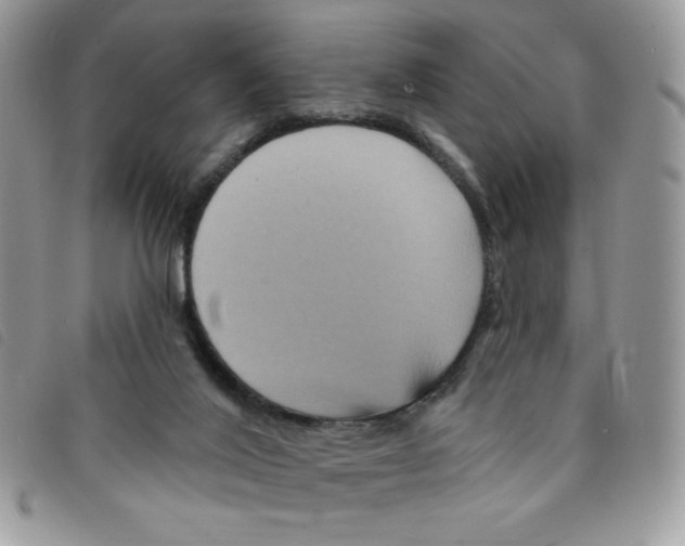 X0000095550020200801111503