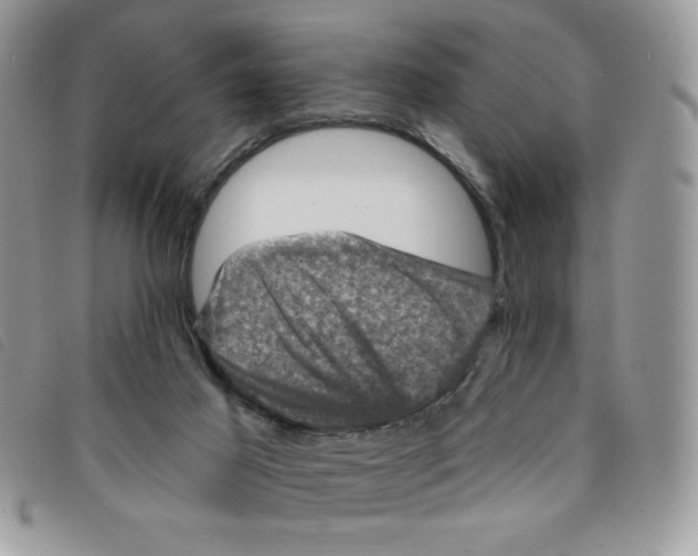 X0000095550021200801111503