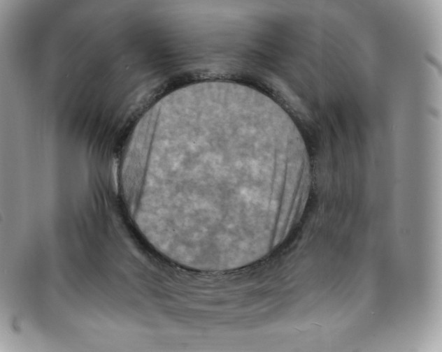 X0000095550022200801111503