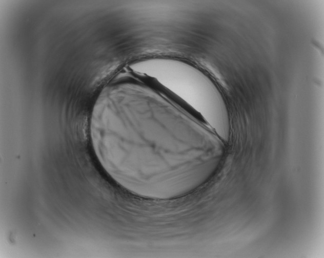 X0000095550023200801111503