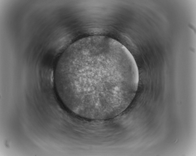 X0000095550024200801111503