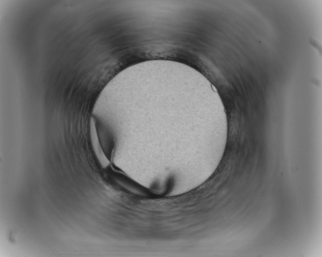 X0000095550025200801111503