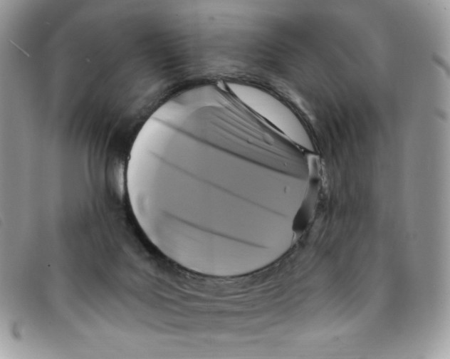 X0000095550027200801111503