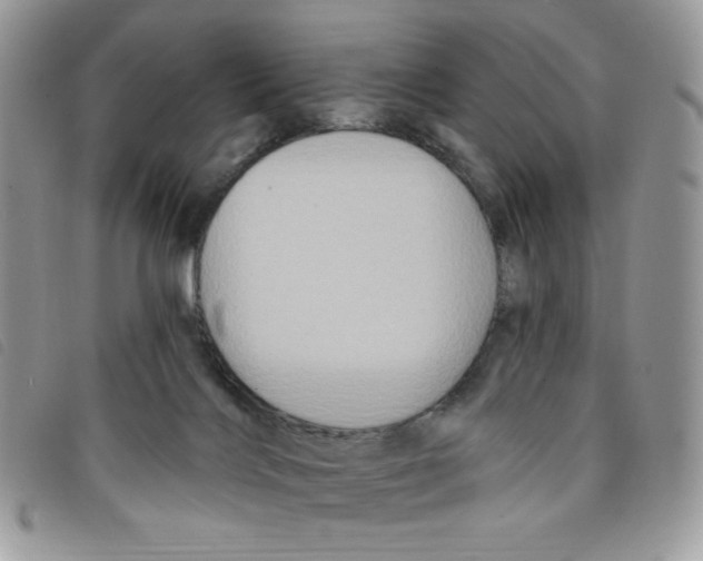 X0000095550028200801111503