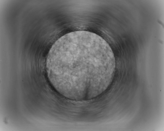 X0000095550030200801111503