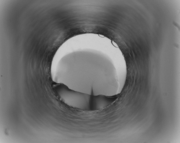 X0000095550031200801111503