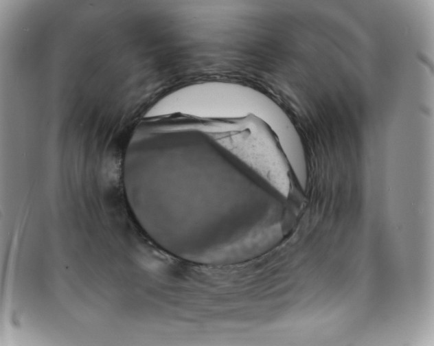 X0000095550033200801111503