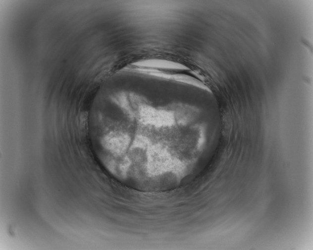 X0000095550034200801111503