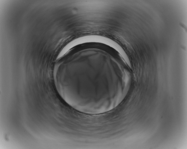 X0000095550035200801111503