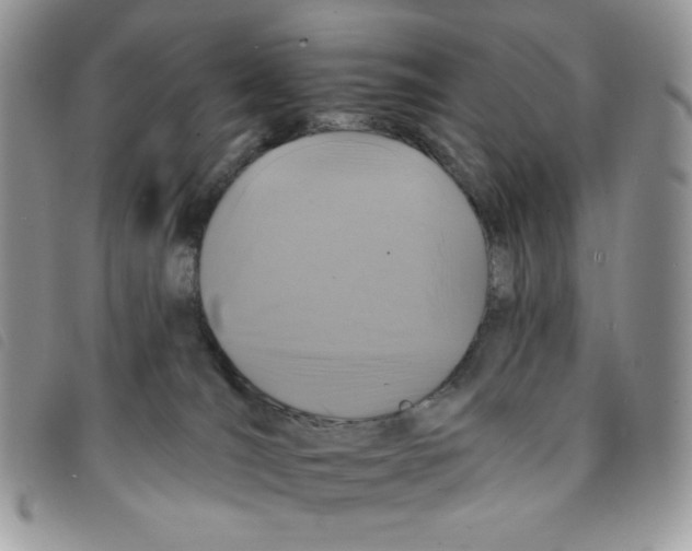 X0000095550036200801111503