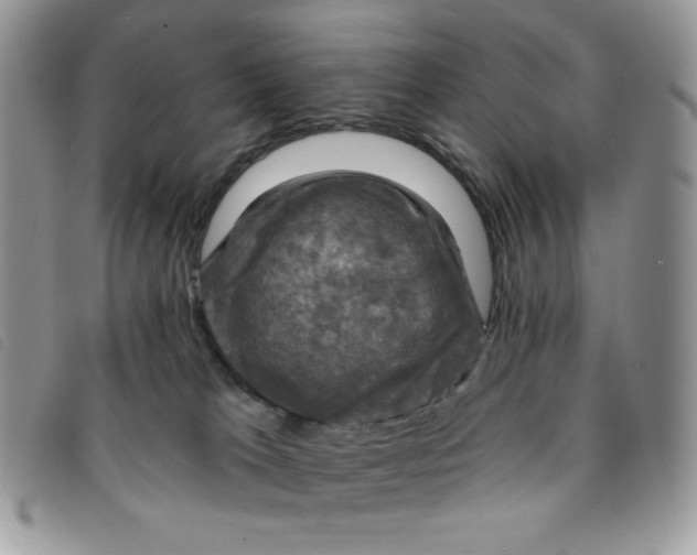 X0000095550037200801111503