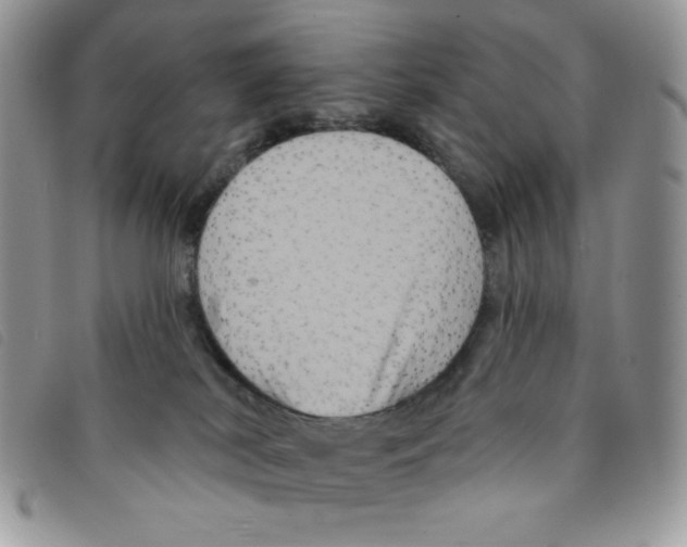 X0000095550038200801111503