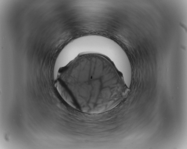 X0000095550039200801111503