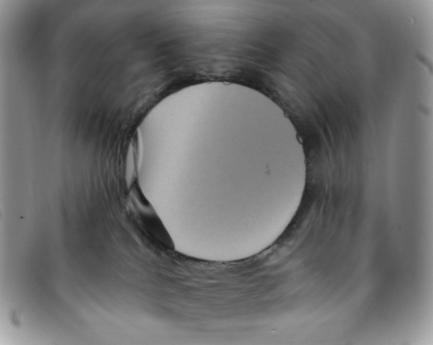 X0000095550040200801111503