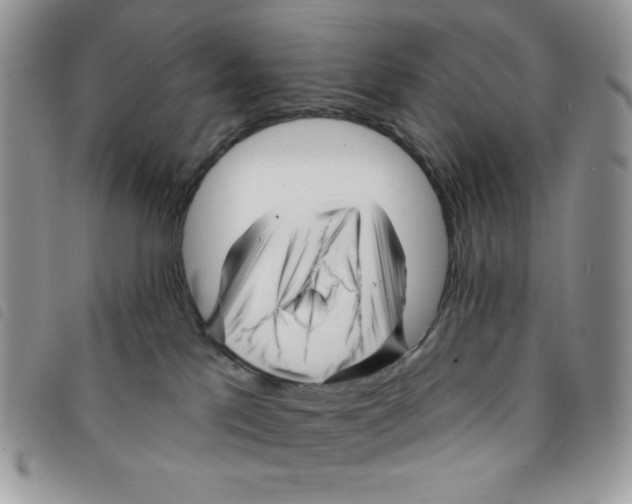 X0000095550041200801111503