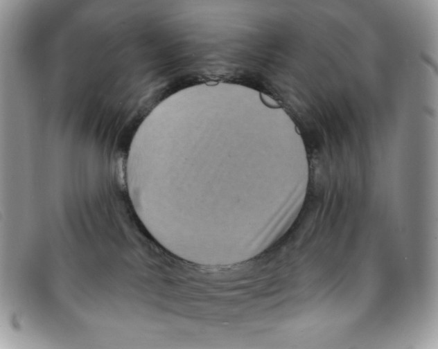 X0000095550042200801111503