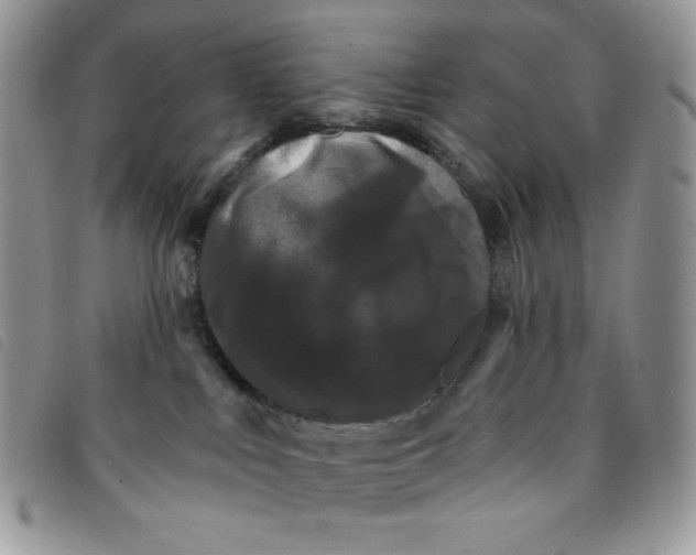 X0000095550043200801111503