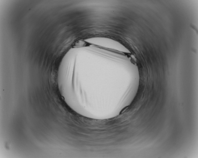 X0000095550044200801111503