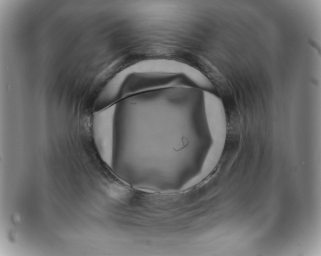 X0000095550045200801111503