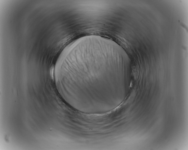 X0000095550047200801111503