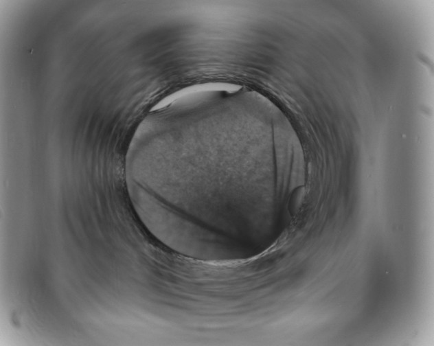 X0000095550048200801111503