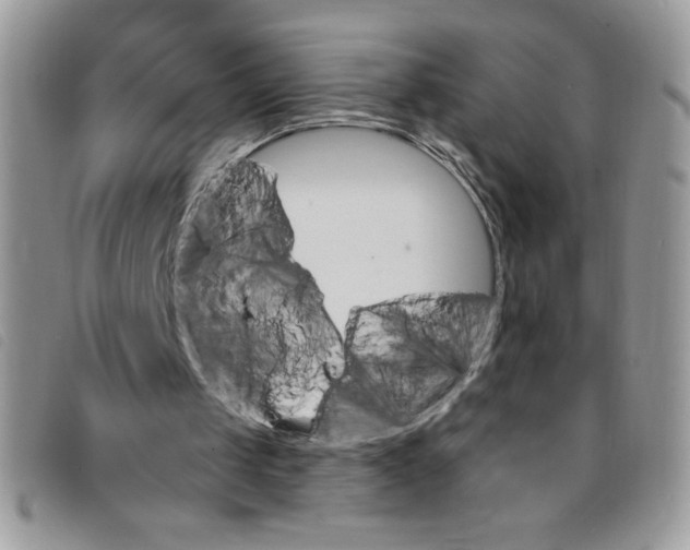 X0000095550049200801111502