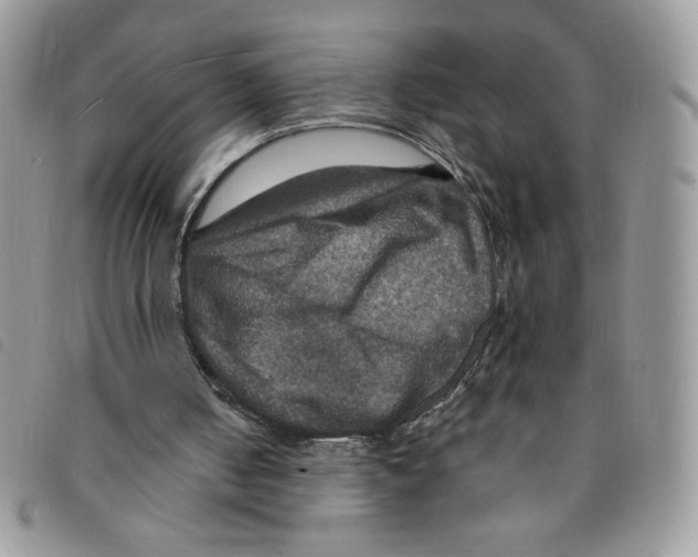 X0000095550050200801111502