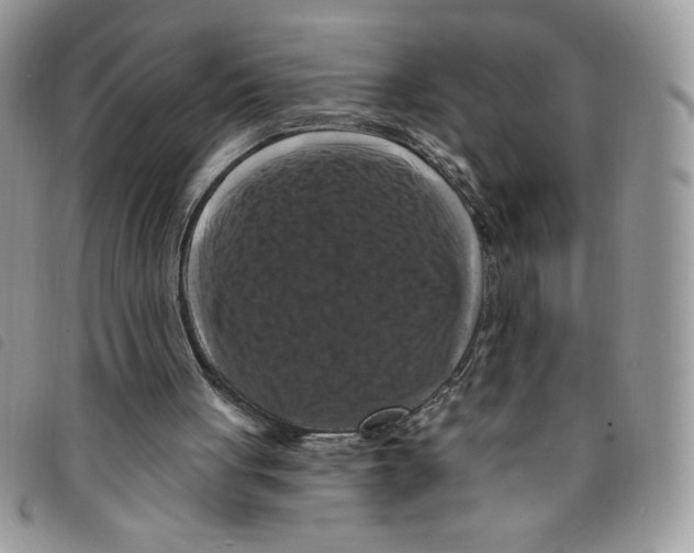 X0000095550051200801111502