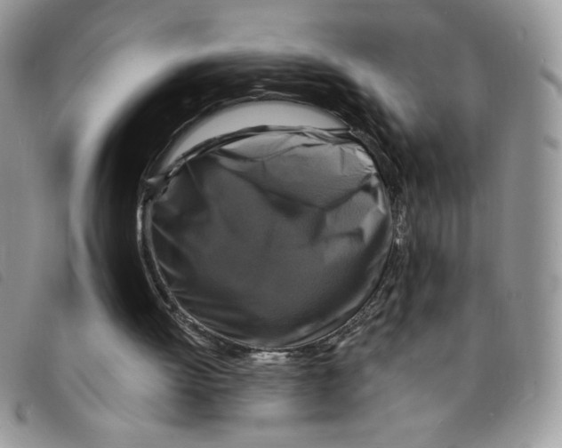 X0000095550052200801111502