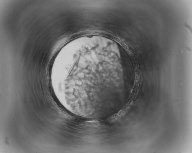 X0000095550053200801111502