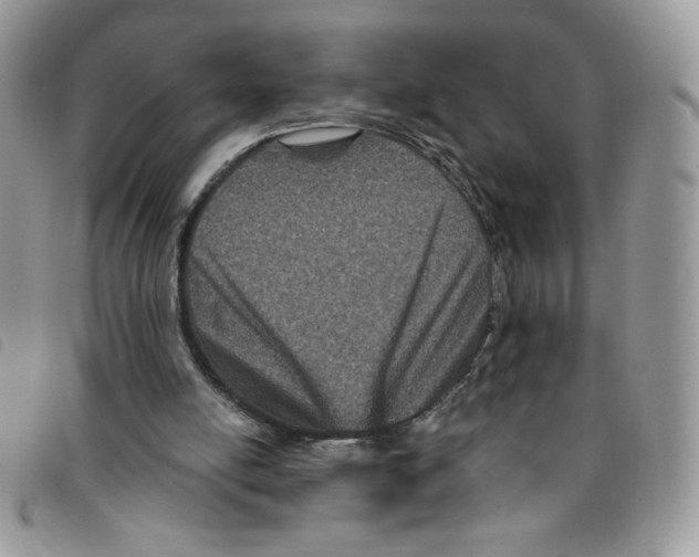 X0000095550054200801111502