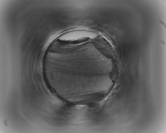 X0000095550055200801111502