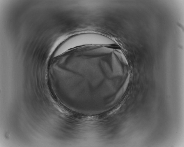 X0000095550056200801111502