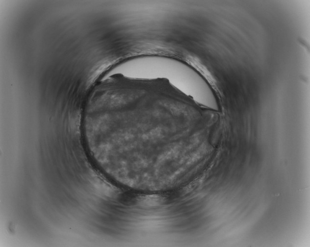 X0000095550058200801111502