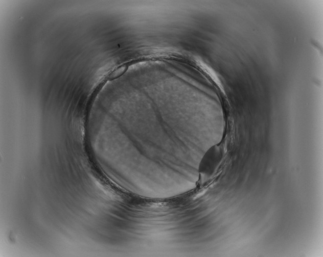 X0000095550059200801111502