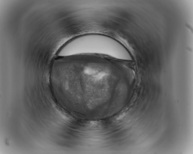 X0000095550060200801111502