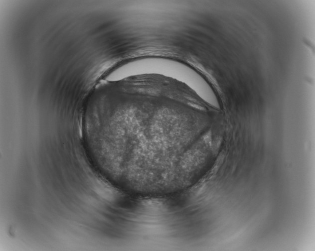 X0000095550062200801111502