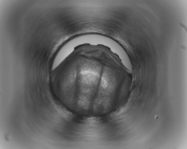 X0000095550064200801111502