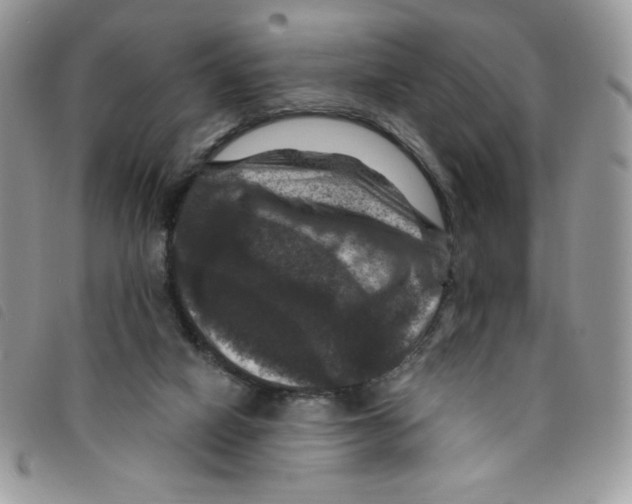 X0000095550066200801111502