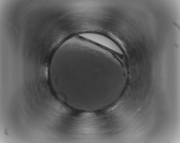 X0000095550067200801111503