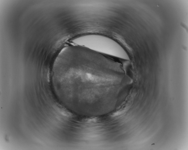 X0000095550068200801111503