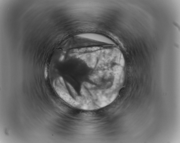 X0000095550069200801111503