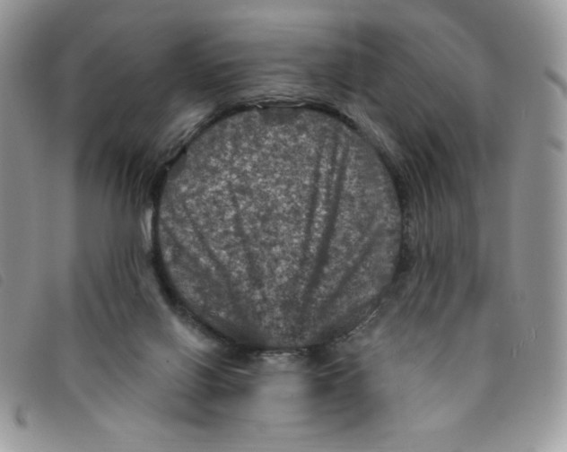 X0000095550070200801111503