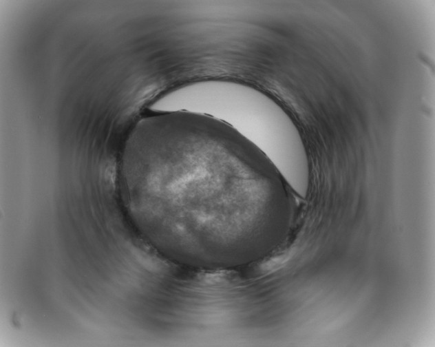 X0000095550072200801111503