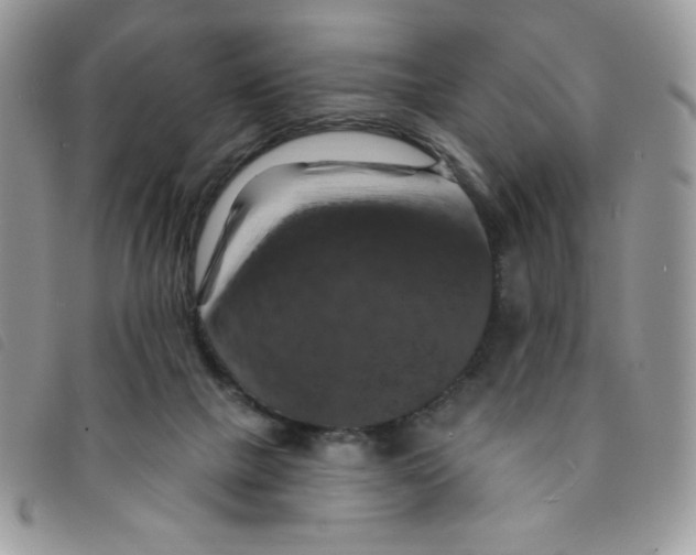 X0000095550073200801111503