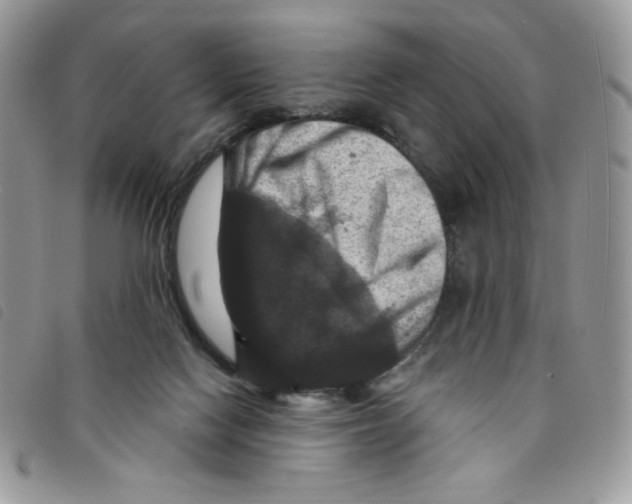 X0000095550074200801111503