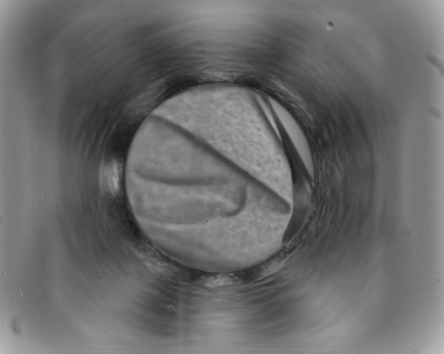 X0000095550075200801111503