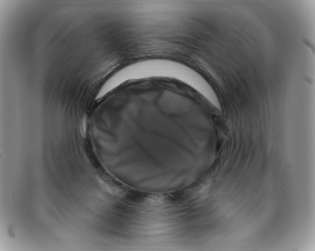 X0000095550076200801111503